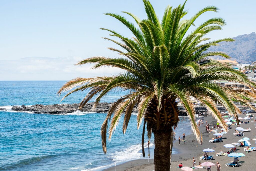 Desokupa en Dénia